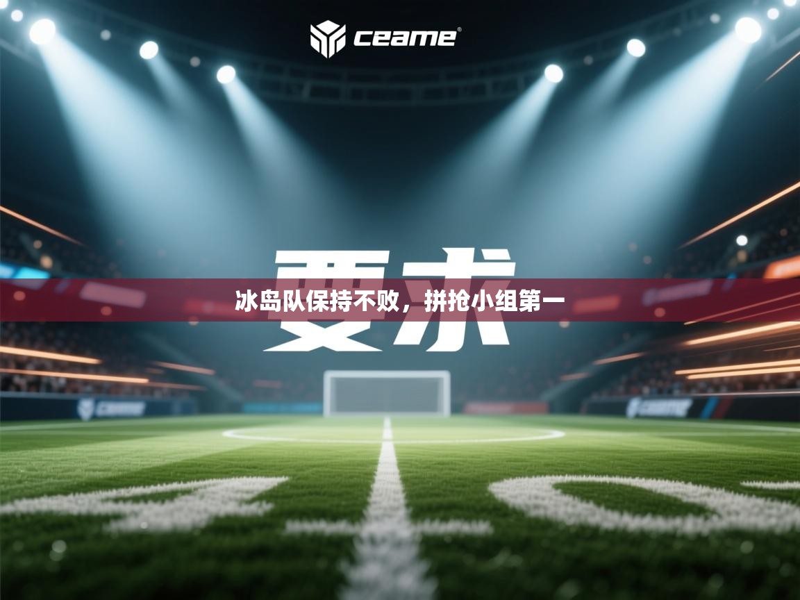 开云体育网络异常修复-冰岛队保持不败，拼抢小组第一  第1张