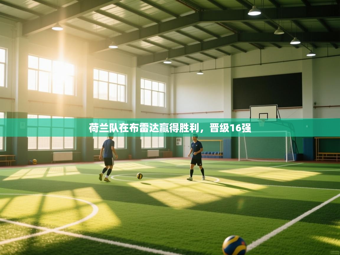 开云体育app官网入口-荷兰队在布雷达赢得胜利，晋级16强