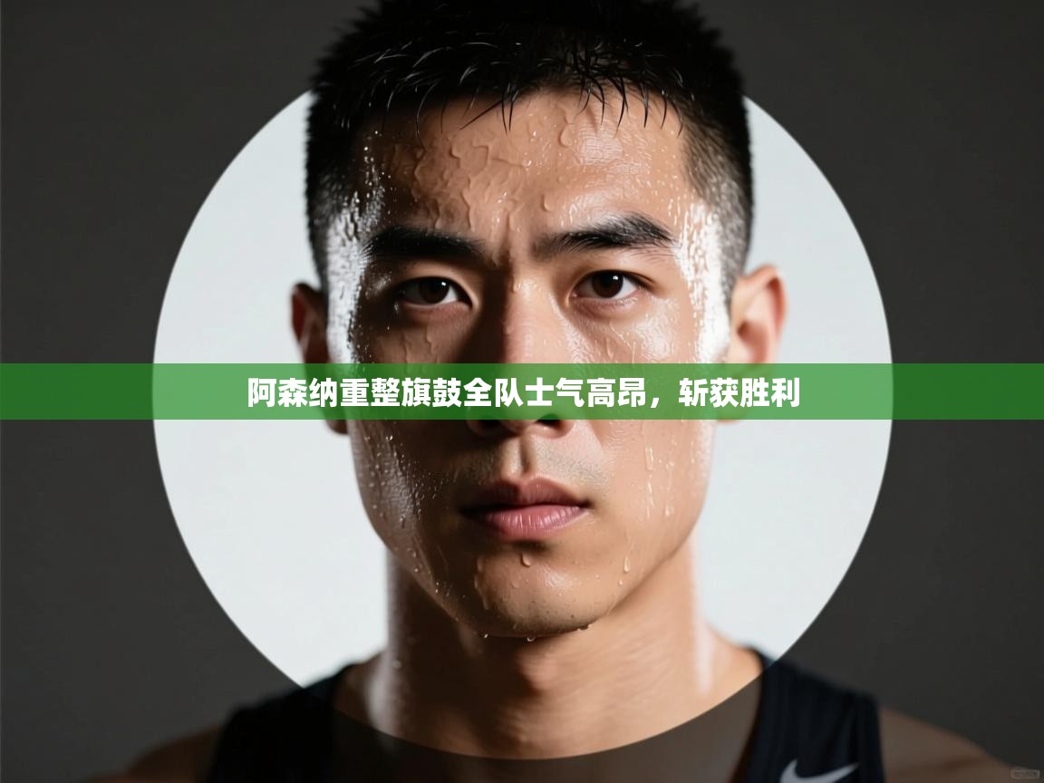 开云体育app官网网页登录入口-阿森纳重整旗鼓全队士气高昂，斩获胜利